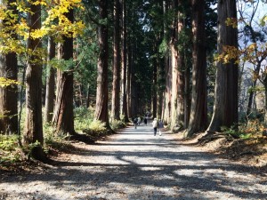 戸隠神社奥社参道杉並木