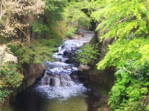 亀岩の洞窟