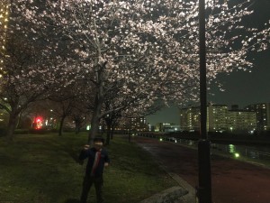 夜桜