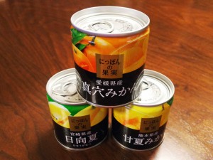 柑橘系の缶詰