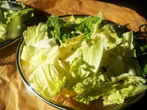 野菜干し