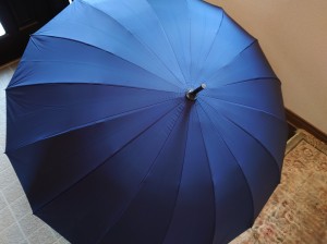 16本骨の傘